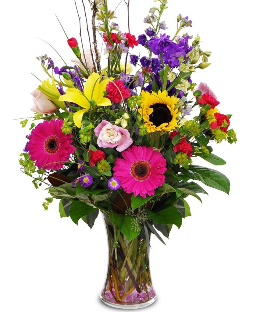 Summer Birthday Flowers - Gordon Boswell