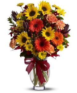yellow adn orange daisies in glass vase