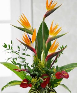 This contemporary design is created with birds of paradise, red antheriums and tropical foliage.