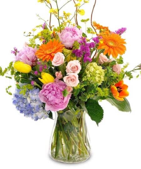 A gorgeous mix of the garden variety of blue and green hydrangea, peonies, orchids, spray roses and more! Order fresh cut Mother's Day Flowers with same-day delivery to Fort Worth, TX, surrounding areas or nationwide. We're available 7 days a week!