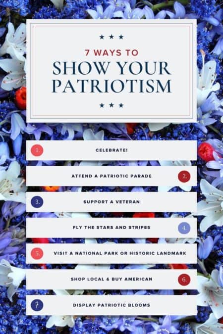 7 ways to show patriotism